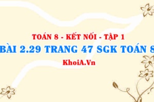 Bài 2.29 trang 47 SGK Toán 8 tập 1 Kết nối tri thức